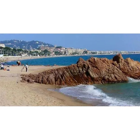 Apartment T2 Vue Degagee Colline, A Pieds, 4 Pax